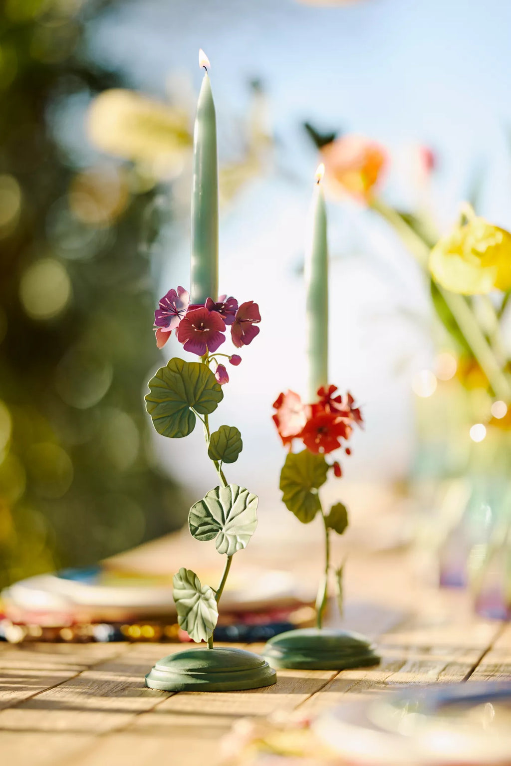 Bloom Flowers in theGardenHold