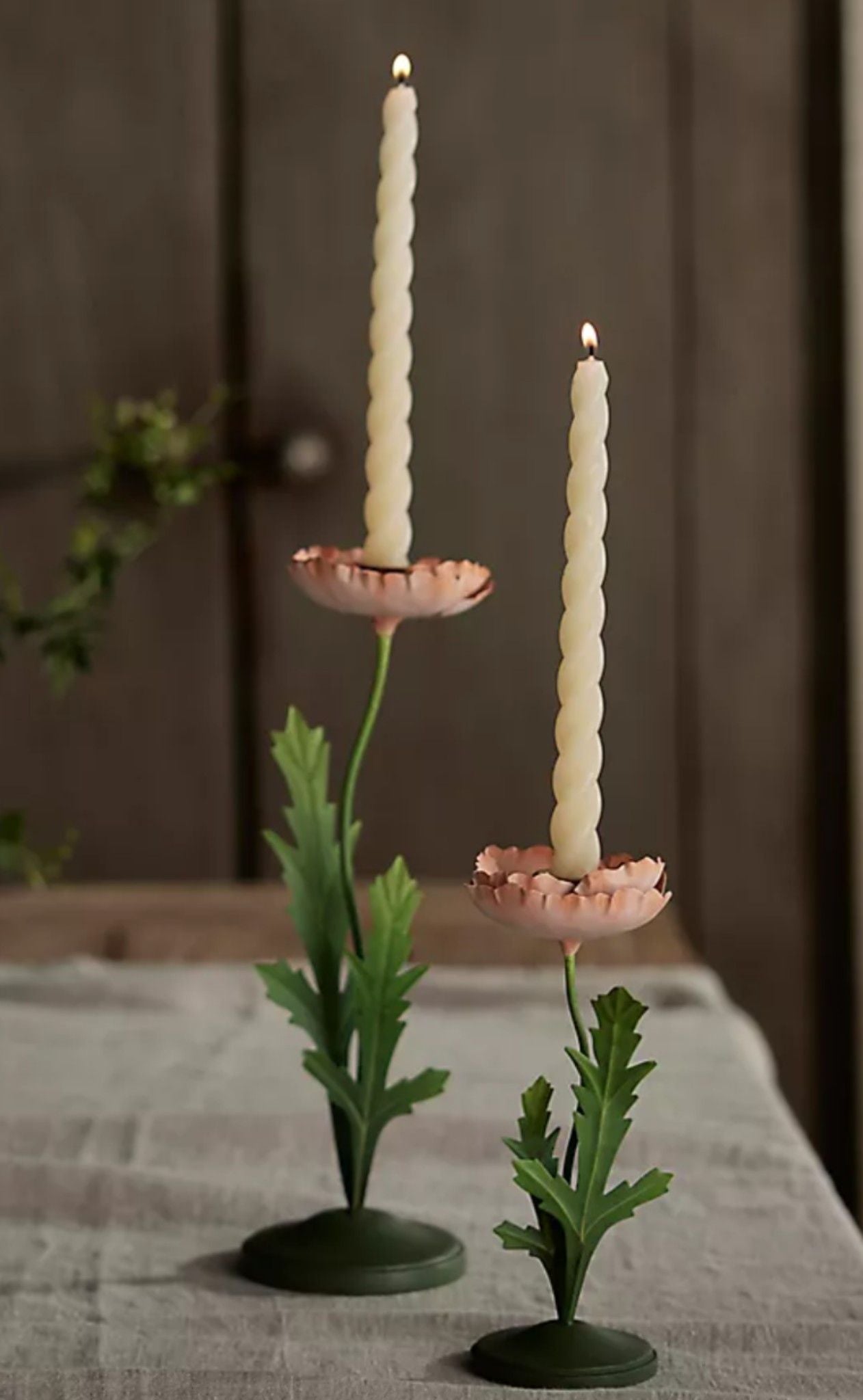 Bloom Flowers in theGardenHold