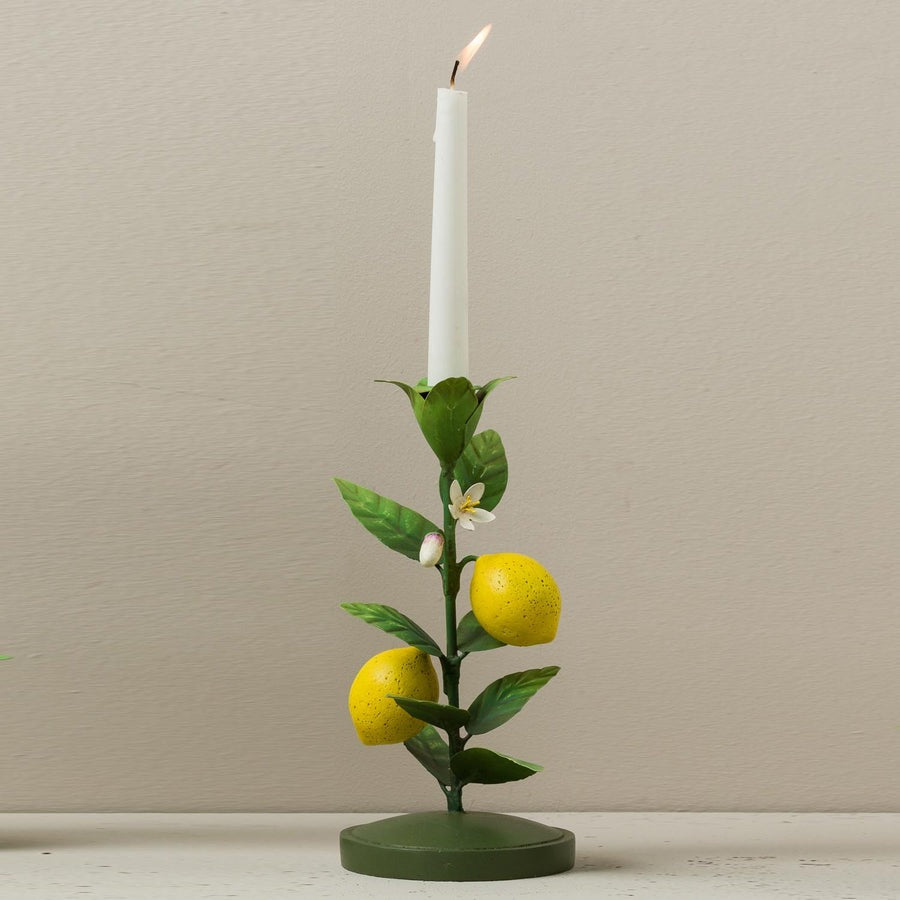 Fruits in Thegardenhold