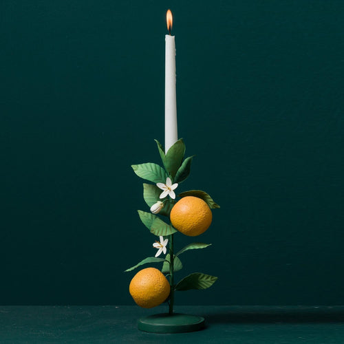 Fruits in Thegardenhold