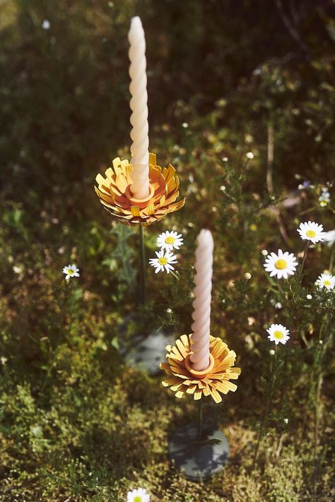 Bloom Flowers in theGardenHold