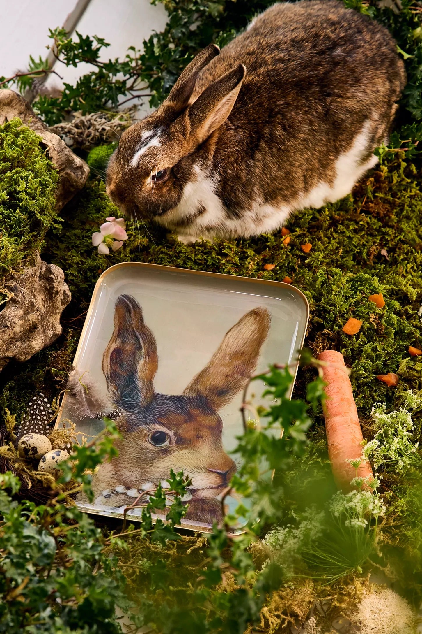 Quiet Hare Tray Thegardenhold
