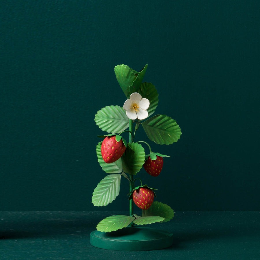 Fruits in Thegardenhold